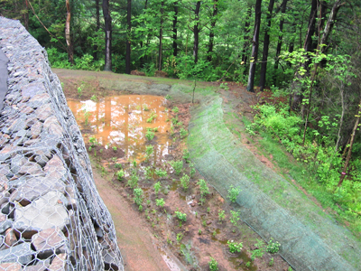 Erosion Control Lowe's