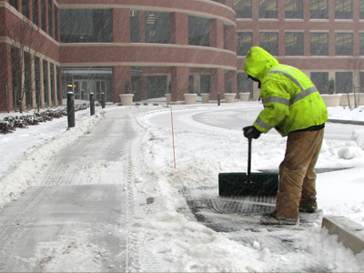 Shoveler